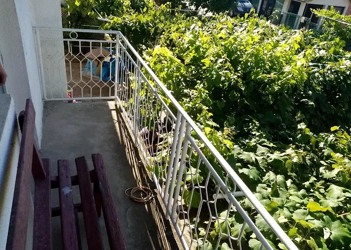 Apartment Sobe Jacevic Donji Milanovac