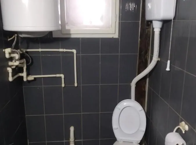 Sobe Jacevic Apartment Donji Milanovac